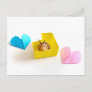Snail in heart box postcard