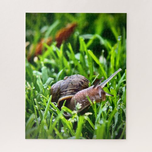 Snail in the Grass Jigsaw Puzzle