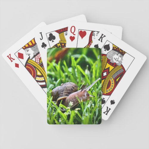 Snail in the Grass Playing Cards