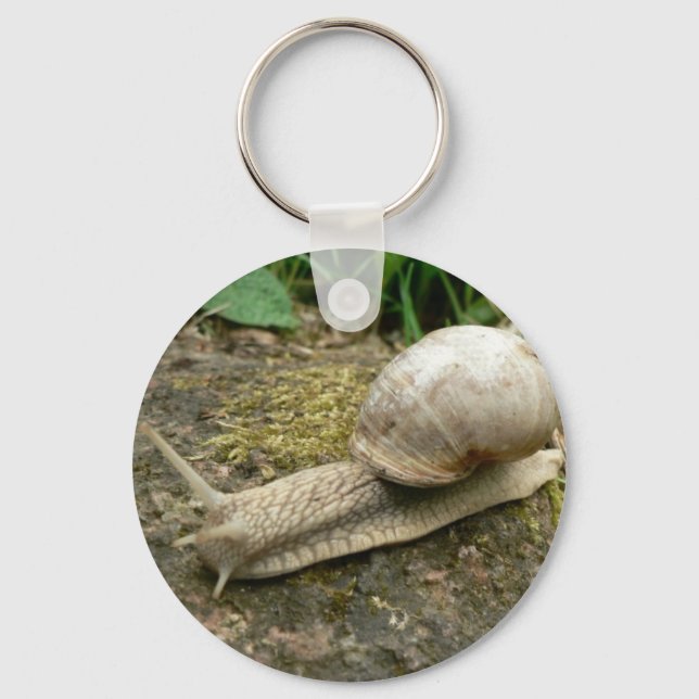 Snail Keychain (Front)
