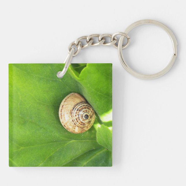 Snail Keychain (Back)
