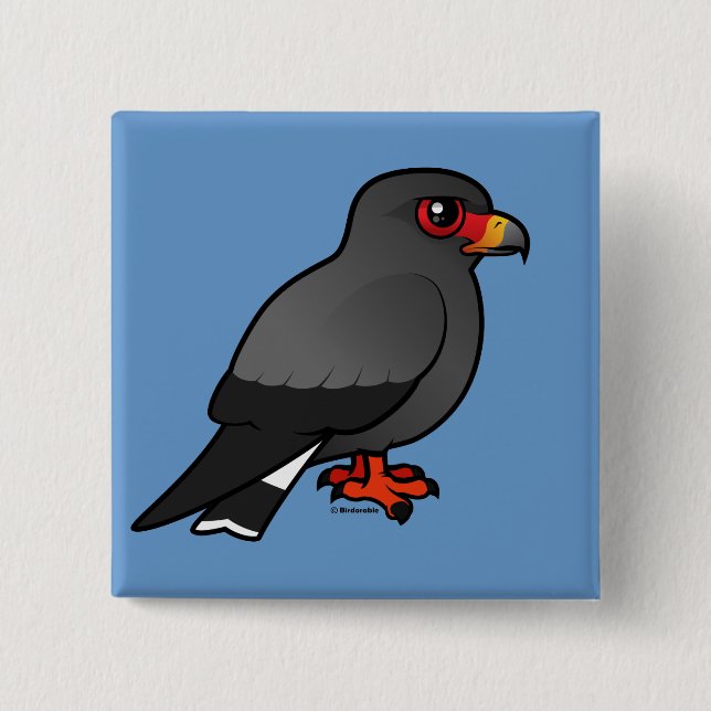 Snail Kite Pinback Button (Front)