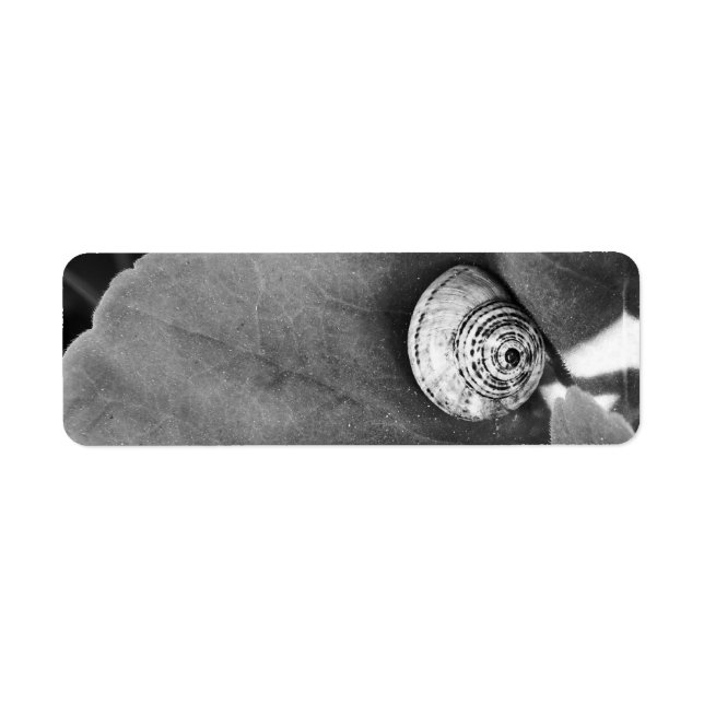 Snail Label (Front)