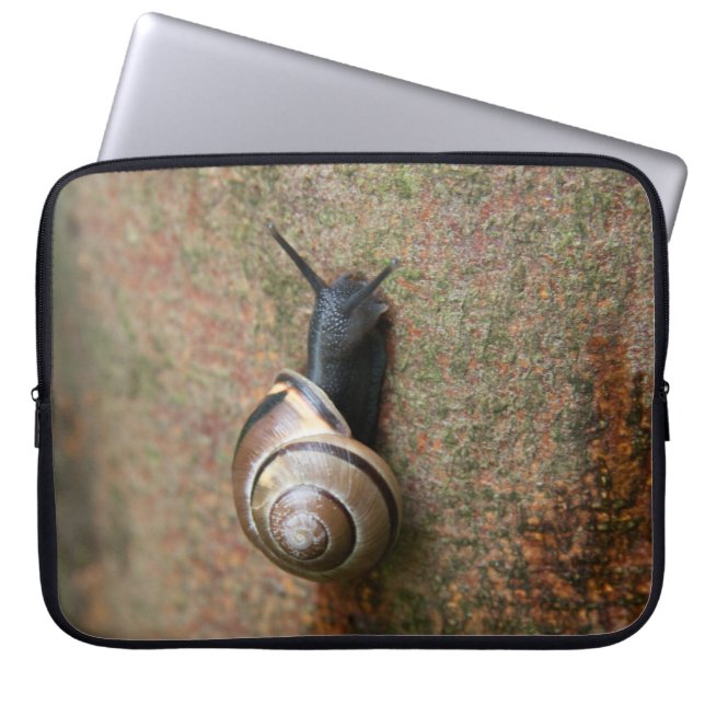 Snail laptop sleeve (Front)