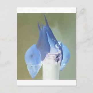 Snail love postcard