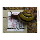 Snail mail (Front Horizontal)