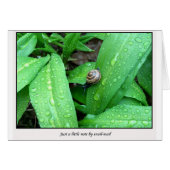 snail-mail (Front Horizontal)