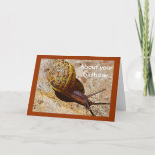 Snail mail belated card