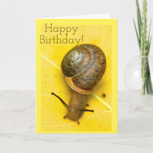 Snail mail card