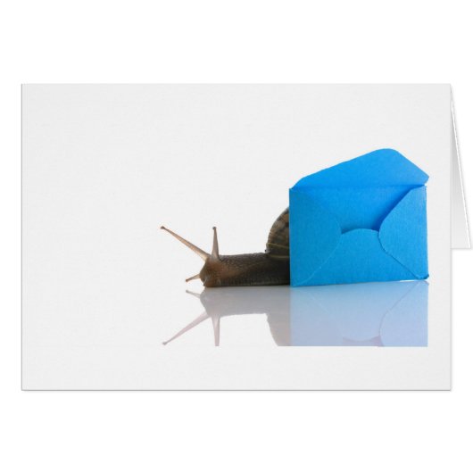 Snail Mail Cards (Front Horizontal)
