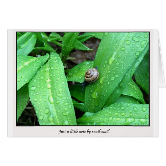 snail-mail cards (Front Horizontal)