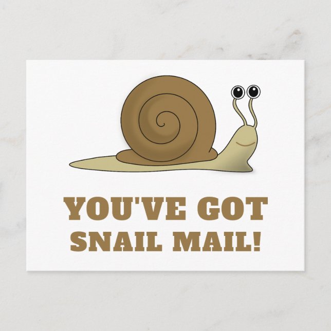 Snail Mail Cute Funny Retro Postcard (Front)