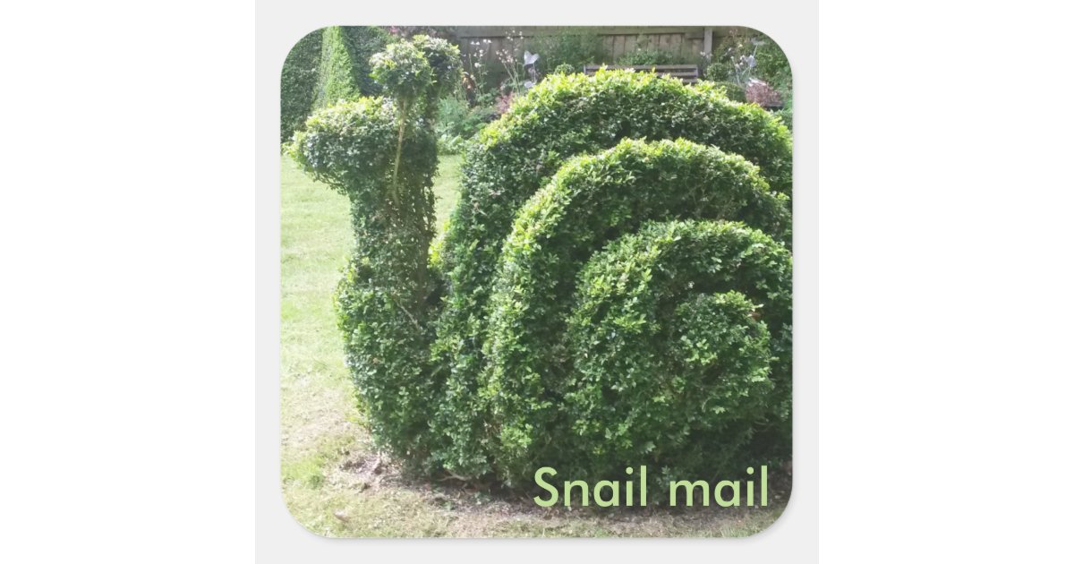 Snail Topiary - Mossed