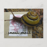 Snail mail postcard