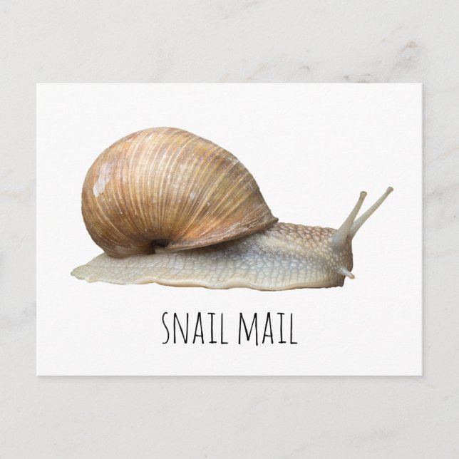 snail mail postcard (Front)