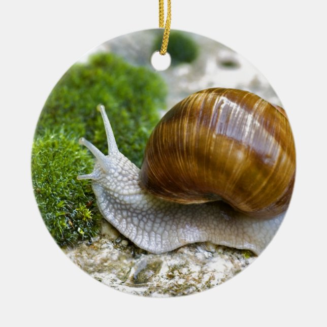 Snail of Burgundy Ceramic Ornament (Front)