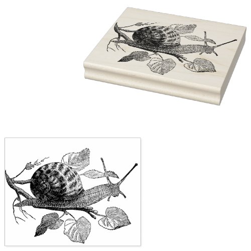 Snail on a Branch Custom  Rubber Stamp