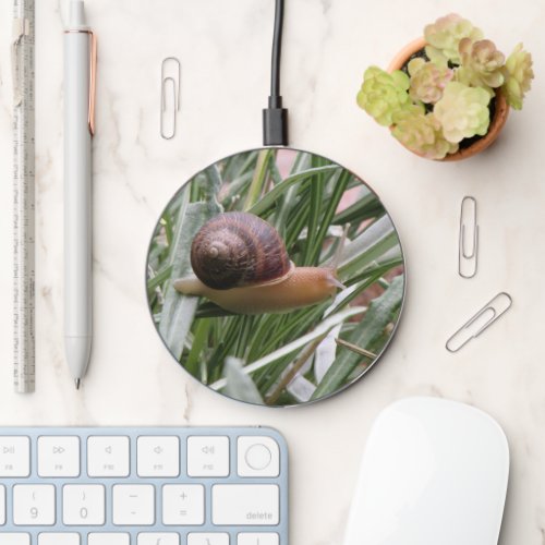 Snail on a Leaf Wireless Charger