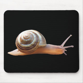 Snail on black ~ mousepad
