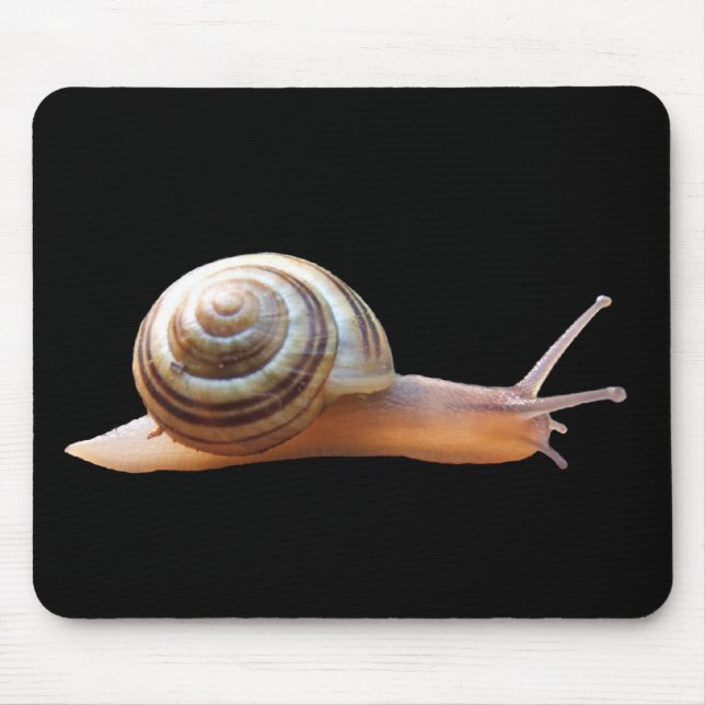 Snail on black ~ mousepad (Front)