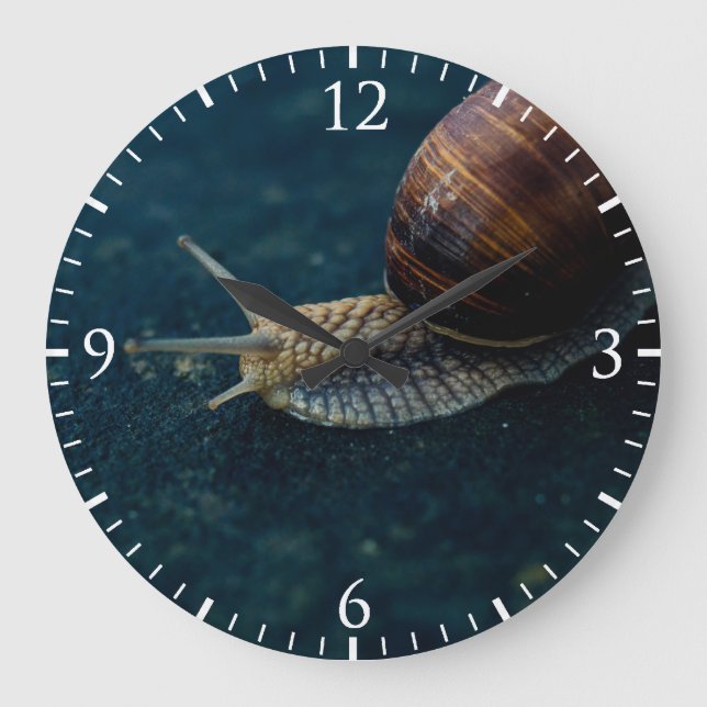 Snail On Blue Closeup, Nature Animal Photograph Large Clock (Front)