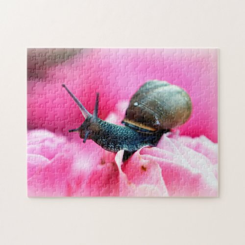 Snail on flower close up Jigsaw Puzzle