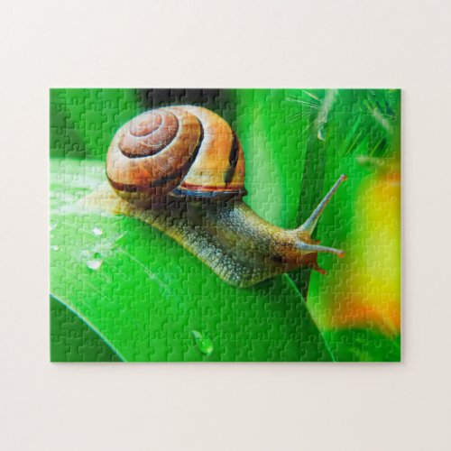 Snail on leaf close up Jigsaw Puzzle