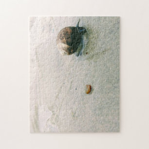 Snail on the Beach Puzzle