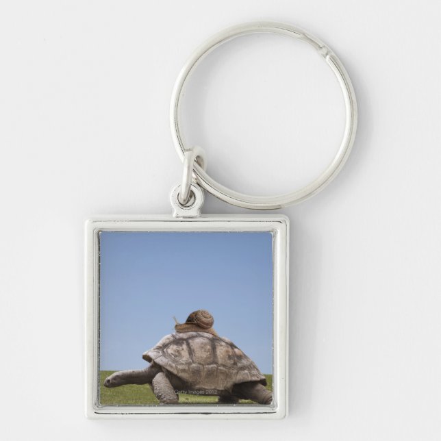 Snail over a turtle keychain (Front)