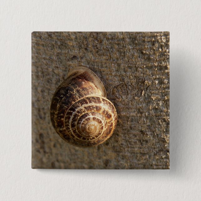 Snail Pinback Button (Front)