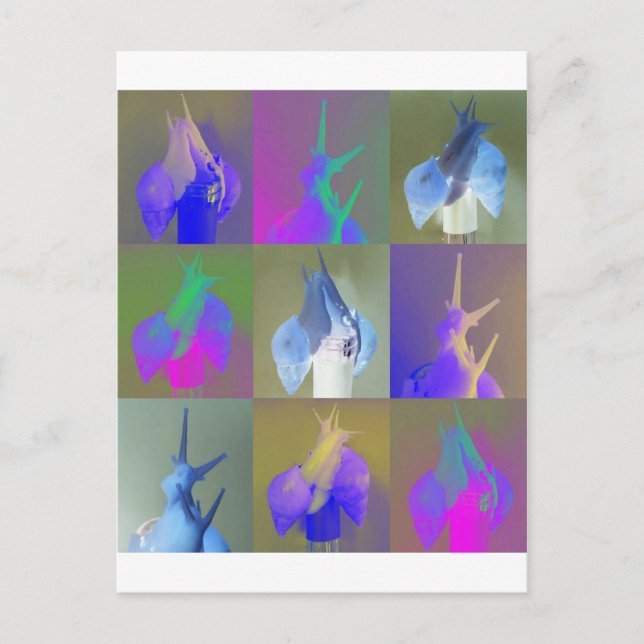 Snail Pop Art Postcard (Front)