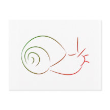 Snail postcard
