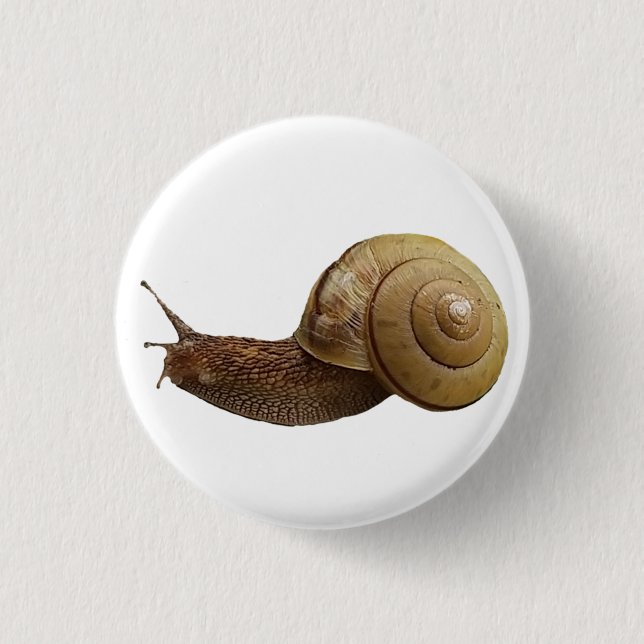 snail real photograph button (Front)