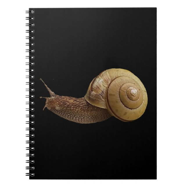 snail real photograph notebook (Front)