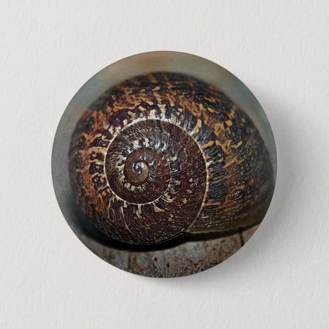 Snail Shell Button (Front)