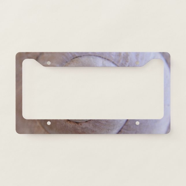 Snail shell license plate frame (Front)