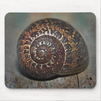 Snail Shell Mouse Pad