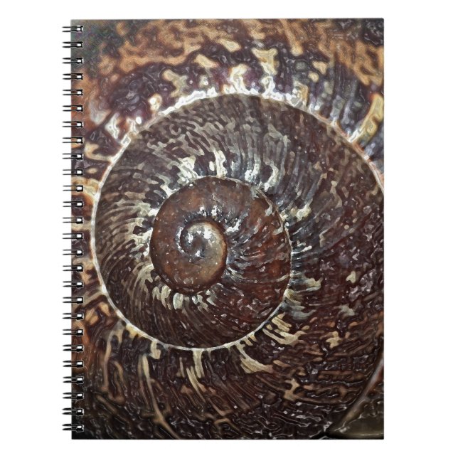 Snail Shell Notebook (Front)
