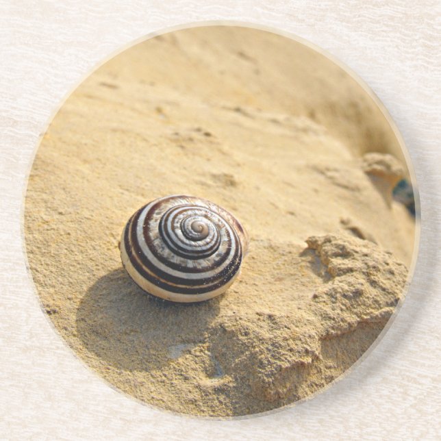 Snail Shell on Sand Sandstone Coaster (Front)