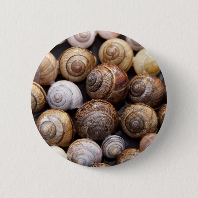 Snail Shells Button (Front)
