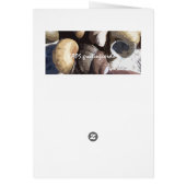Snail Shells Cards (Back)