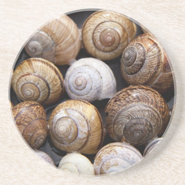Snail Shells Coasters (Front)