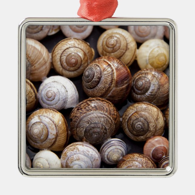 Snail Shells Metal Ornament (Front)
