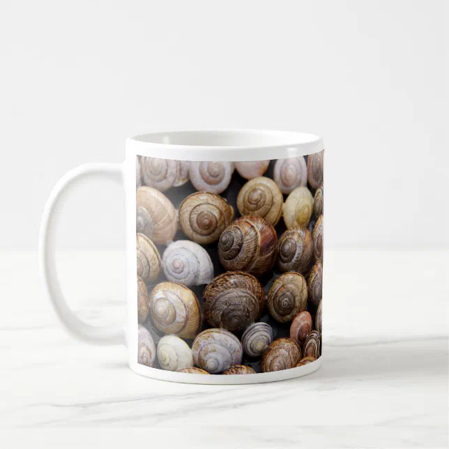 Snail Shells Mug | Zazzle
