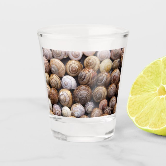 Snail Shells Shot Glass (Front)