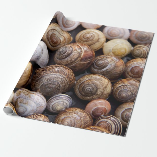 Snail shells wrapping paper (Unrolled)