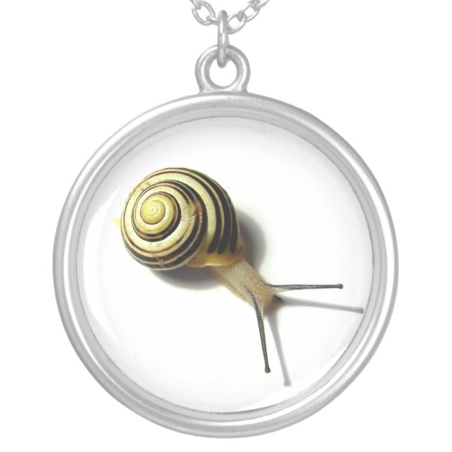 Snail Sterling Silver Necklace (Front)