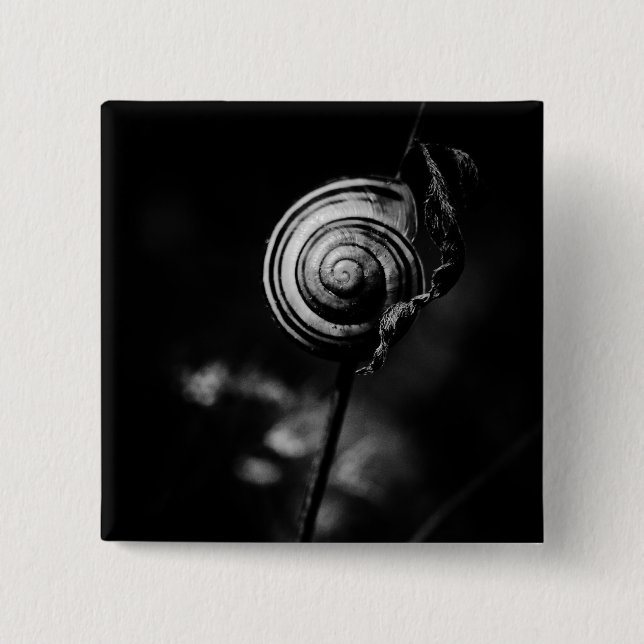snail tail pinback button (Front)