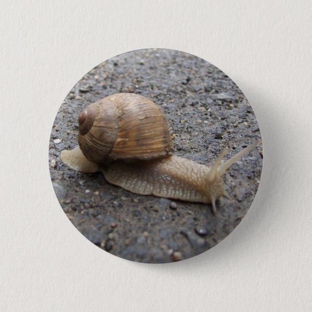 snail walk pinback button (Front)