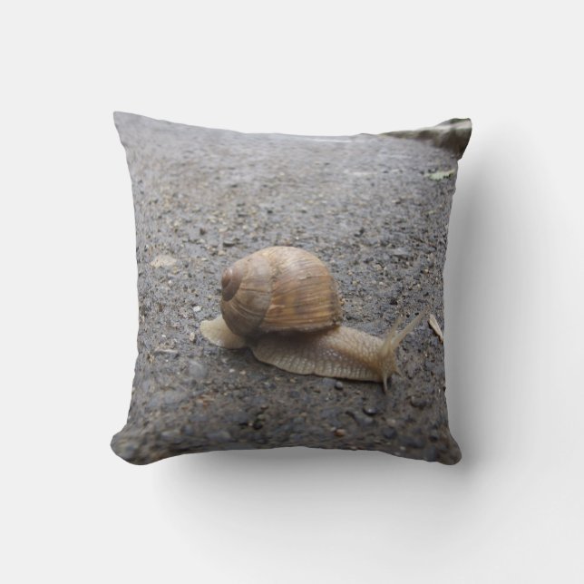 snail walk throw pillow (Front)